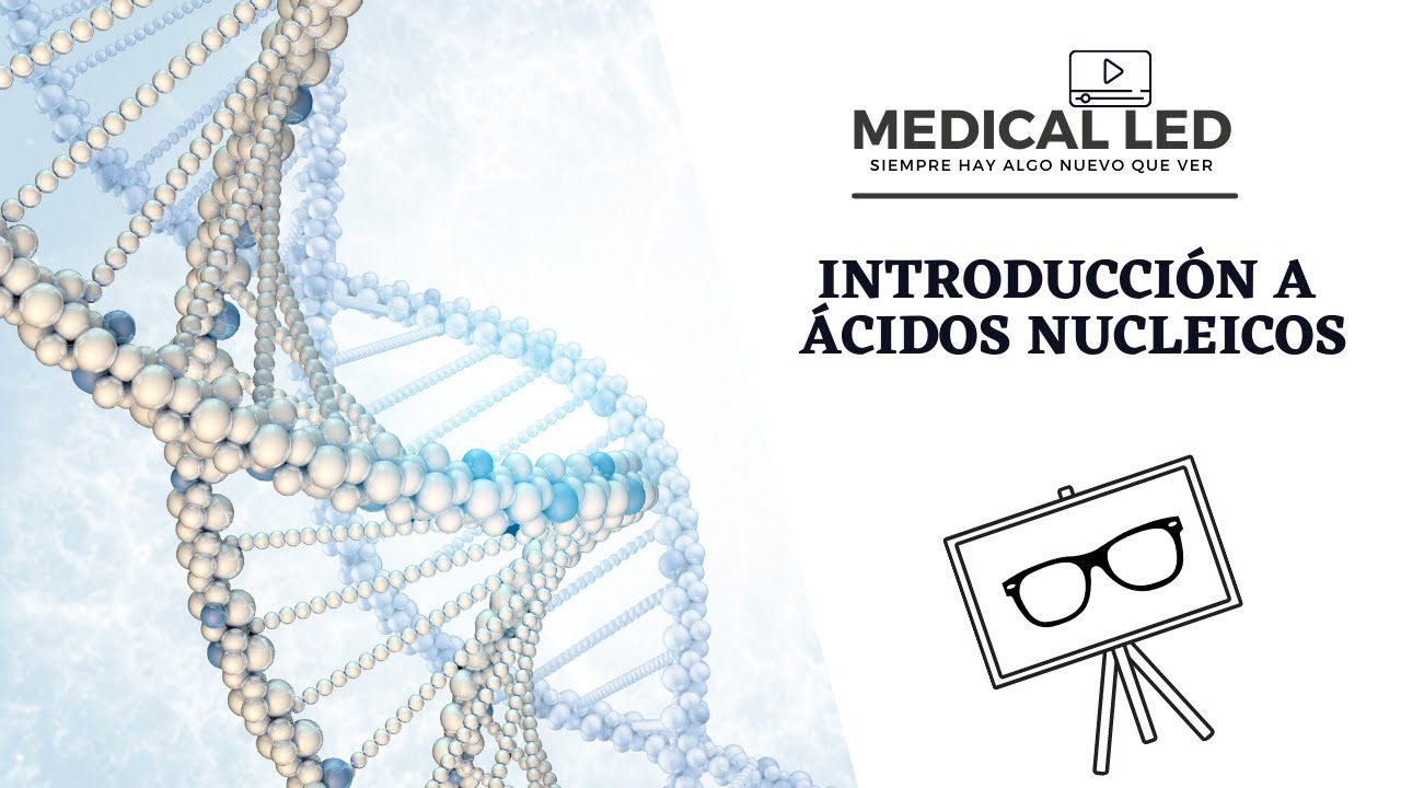 ÁCIDOS NUCLEICOS 1: Estructura del nucleótido e introducción al ADN y ARN