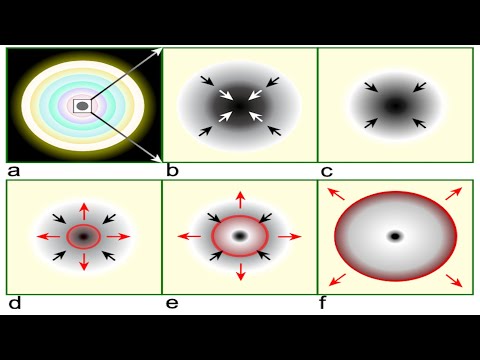 Within Seconds at Most: From Massive Star to Neutron Star or Black Hole