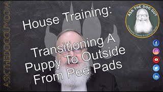 House Training: Transitioning A Puppy To Outside From Pee Pads