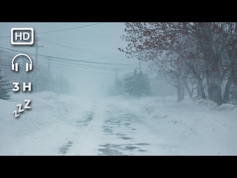 Bruit Blanc Blizzard pour dormir | Relaxation | ASMR | 3 heures