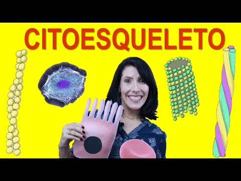 CITOESQUELETO