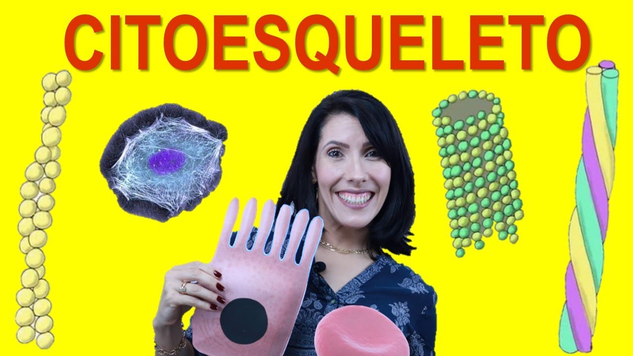 CITOESQUELETO