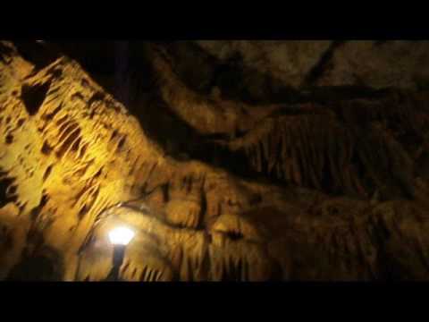 D27M (feat. Shevannai) - from elsewhere (2017)