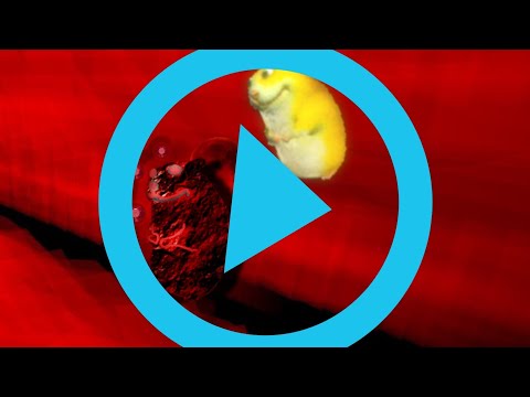 Find The Chomiks: The Bloodmoon But Animated!