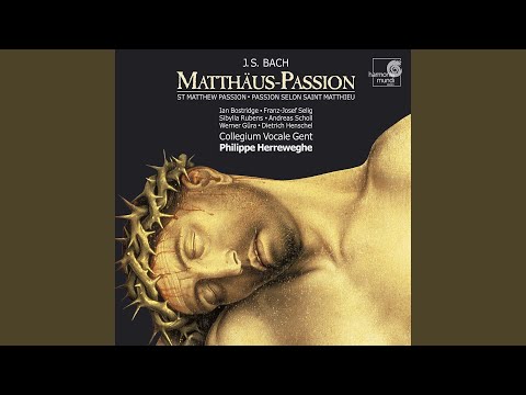 Matthäus-Passion, BWV 244, Zweiter Teil: No. 39, Aria "Erbarme dich"
