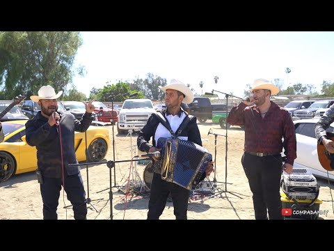 Como Perros - El Chalinillo Ft. Leonel El Ranchero - (En Vivo) 2020