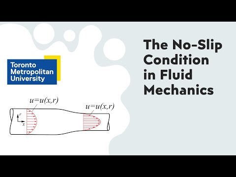 Demonstration: No Slip Condition in Fluid Mechanics