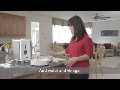 Pet Feedster - How To: Ant Proof Your Pet Feedster