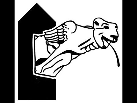 afl 5 meest rechtdoorlopend RTE