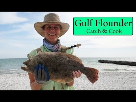 Flounder Catch and Cook - Caught 20 Inch Fluke Off the Beach - Florida Fishing