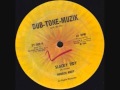 Dub Tone Muzik us   Horace Andy   Slacky Tidy   Side A
