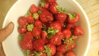Thumbnail for video: How to Grow Strawberries in Hydroponics #7 2013