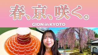 【京都・お花見Vlog】春の京都 祇園🌸桜に包まれる至福のひとり旅🩷✨