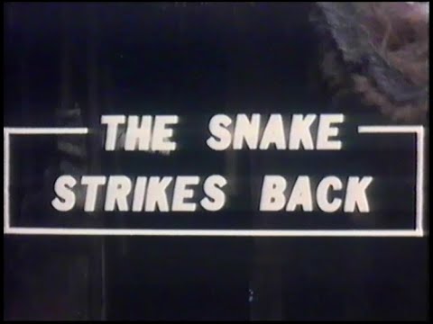 Atak węża aka Drugie uderzenie węża (1981) The Snake Strikes Back (zwiastun VHS) * kung-fu *