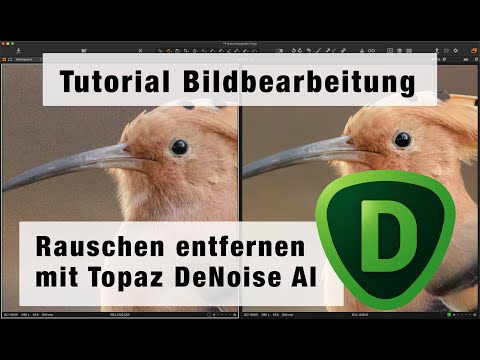 Digitaler Workflow  -  Teil 2: Bildrauschen entfernen mit Topaz DeNoise