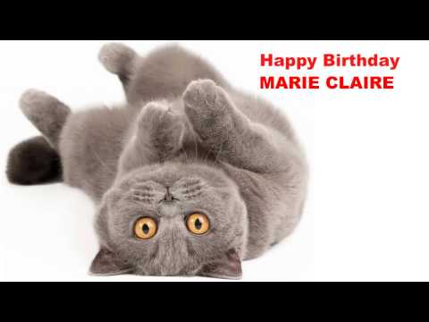 MarieClaire   Cats Gatos - Happy Birthday