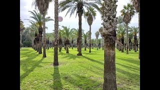 הסיפור הישראלי 204 - יוצרים עולם (הרב יצחק חי זאגא) - התמונה מוצגת ישירות מתוך אתר האינטרנט יוטיוב. זכויות היוצרים בתמונה שייכות ליוצרה. קישור קרדיט למקור התוכן נמצא בתוך דף הסרטון