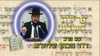 פרשת ויקהל – לחשוב מחשבות
