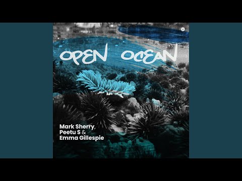 Open Ocean (Extended Mix)
