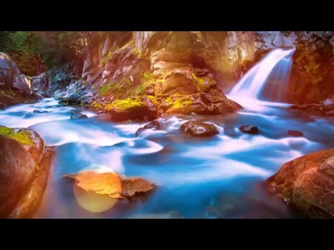 download lagu mp3 mp4 I Doser First Love, download mp3 I Doser First Love free downloadn, video klip I Doser First Love