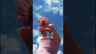 Download lagu loneliness ~Putri Ariani~.lagu story wa mp3 Download lagu loneliness ~Putri Ariani~.lagu story wa mp3