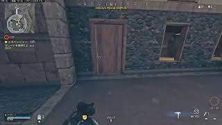 【warzone】何の武器がいいの？