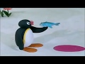 Pingu In Wonderland