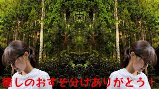 有村架純”私は元気です”と最新ショット公開にファン安堵「癒しのおすそ分けありがとう！」
