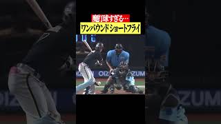 【魔打撃】ワンバウンドショートフライ #shorts