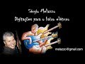 Jazz conception - Total Blues (All Blues) - Jim Snidero