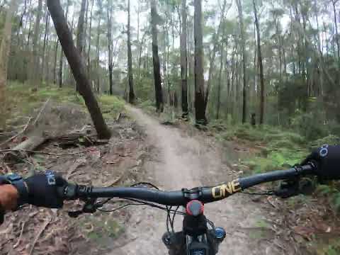 Narooma Mountain Bike Shredtopia,