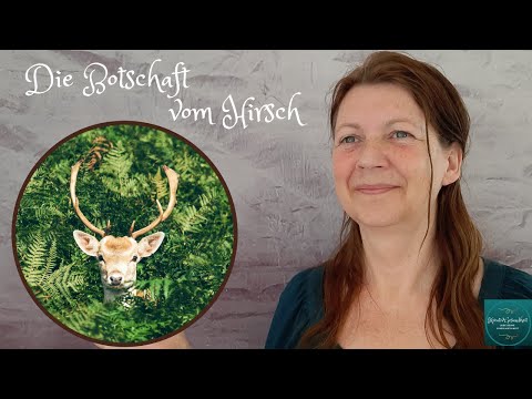 Botschaft vom Hirsch über das Loslassen der Zweifel