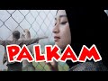 PALKAM Pop Rock Official Music Video Rasmeta