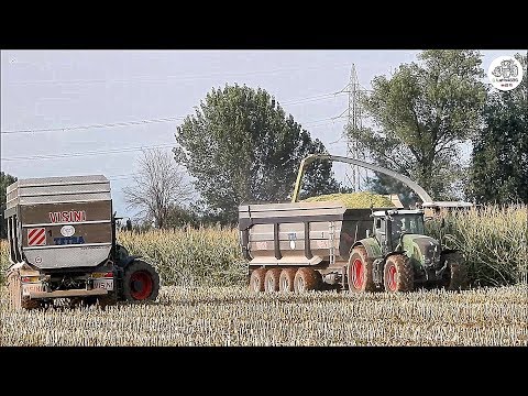 New Claas Jaguar 970 & 3 Fendt + Visini TETRA - Copeta Angelo & Sergio - Corn silage 2019