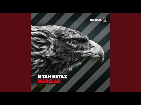 Sen Benim Her Gece Efkarım - Beşiktaş