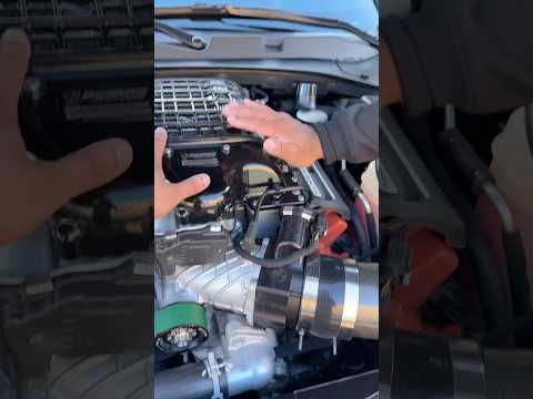 Hellcat Supercharger is on FIRE🔥 compared to WHIPPLE Supercharger… #hellcat #shorts