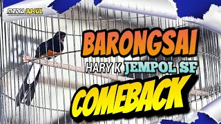Download lagu MURAI BATU BARONGSAI HARY K JEMPOL SF | mp3
