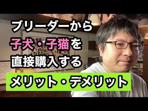 なぜミルワームを鶏に与えるのでしょうか？ブリーダーが語る見逃せない4つのメリット  庭園