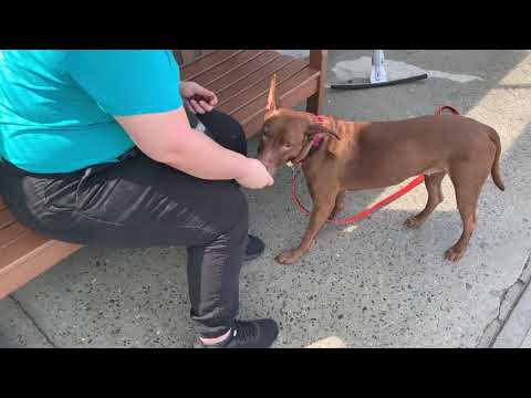 Zeena 95408 | Buying love with snacks!