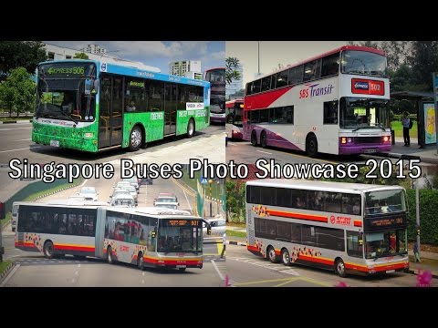 Singapore Buses Photo Showcase 2015