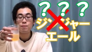 [実写] 「わさびエール」作ってみた　[サイダー × 調味料]