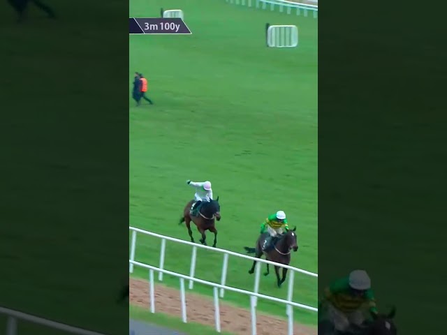 Thumbnail for Post ID: fqMqVpdjqLM