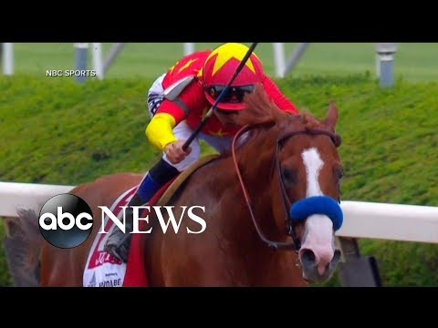 Justify sprints to a win at the Belmont Stakes