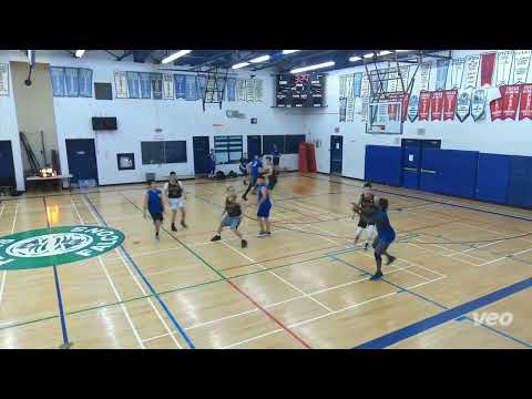 Bumble Bees vs Can Partners - sumday tier - tcbl 2022 winter