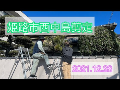 姫路市西中島剪定　2021. 12 .23