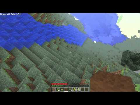 Minecraft - ENDERMAN REACTION!!!