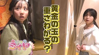黄金の玉の重さを当てろ！花の妖精たちは熊本グリーンランドの新アトラクション『黄金ハンター～7つの挑戦～』をクリアすることができるか？