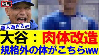 【速報】「もはやCG」「超サイヤ人だろ」大谷翔平の肉体にネット騒然｜大谷翔平｜山本由伸｜佐々木朗希｜岡本和真｜村上宗隆｜今井達也｜NPB｜MLB｜プロ野球