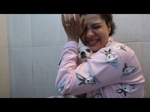 Dogs Bath Day | Mission Impossible | SS vlogs :-)