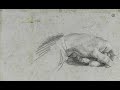 Présentation De L Exposition Dessins Des Carrache La Fabrique De La Galerie Farnèse